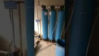 Dm plant