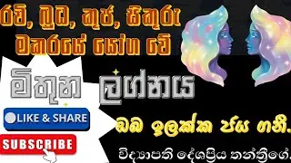 2026 පෙබරවාරි 15 තෙක් මකරයේ චතුර්ග්‍රහ යෝගයක් | මිතුන ලග්නහිමි ඔබට කොහොමද? 