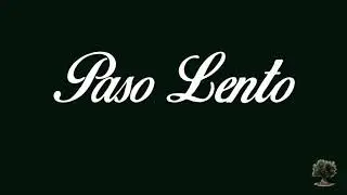 BM Carmen (Salteras) - Paso Lento