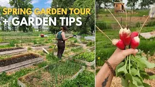 Spring Garden Tour (Zone 4), Plus Garden Tips