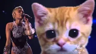 Miley Cyrus Sang In Front Of A Very Emotional Digital Cat Last Night Wrecking Ball