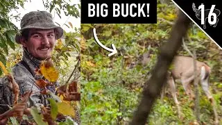 Bumped a BIG BUCK!! - What Now??