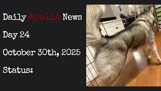 Daily Apollo News - Day 24 #furry #dog #dogbreed #silly