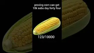 proving corn can get 10k subs day Fourty four