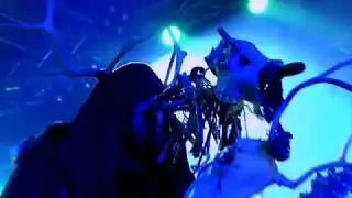 From the Void - Lies | Live at Wacken Open Air 2017