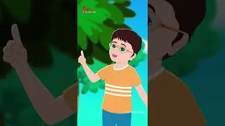 I Am The Mighty Lion - English Nursery Rhymes for Children | Galatta Kids | Lion Song | Shorts