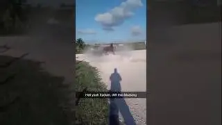 они дикие на диком западе 🤠#дрифт #амиши #лошади #смешно #мемы
