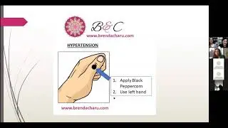 Seed Therapy Intro