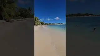 #plage #beachvibes #beach #beachwalk #caribbean #chillvibes #frenchcaribbean #guadaloupe #pantai #yt
