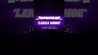TEAMNOSLEEP- LEKKA DINGE