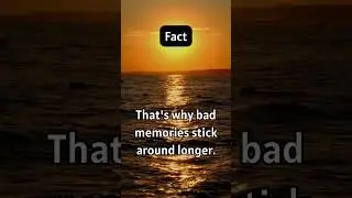 The Human BRAIN Can PROCESS Information FASTER Than You Think... #shorts #facts #entertainment