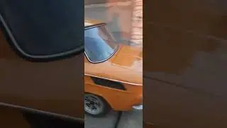 nsu tt zuti