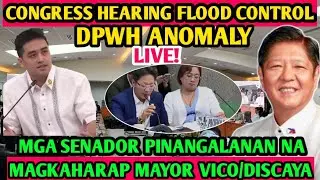 LIVE CONGRESS HEARING DISCAYA & VICO SOTTO FLOOD CONTROL BUDGET