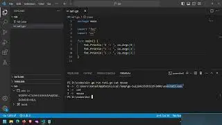 [3] Command Line Arguments in GO | How to take input from command line in GO | GO Fundamentals 3
