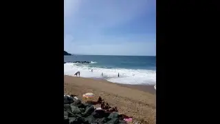 Domenico Galli's live broadcast