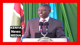 President Ruto have no business with the two generals in Sudan crisis