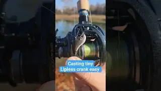 Casting 1/16th Oz is Easy with Ark Gravity BFS reel