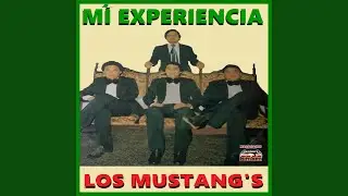 Mi Experiencia