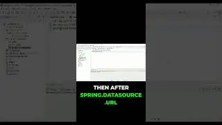 Essential MySQL Config for Spring Boot