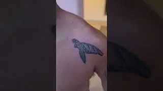 Turtle tattoo