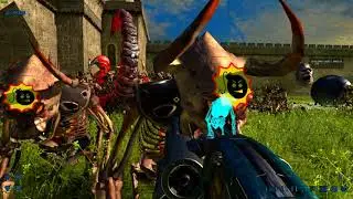 Kleers The Are Superior Species
