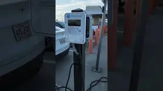 home at Disney springs charging . ev charger  #shorts
