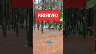 TIPS memilih Campsite di ALAS SUKO Trawas #camping #campingfamily #campingground #campingvlog