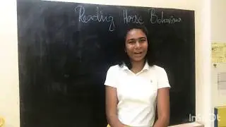 Reading horse behaviour