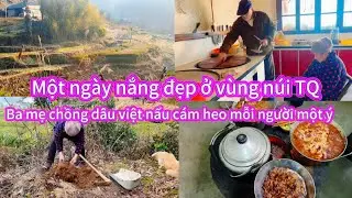 153/Ba mẹ nấu cám heo mỗi người một ý , và buổi chiều mẹ thu hoạch 3 bụi sâm đất 