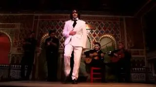 Torres Bermejas - Flamenco y Gastronom&iacute;a -