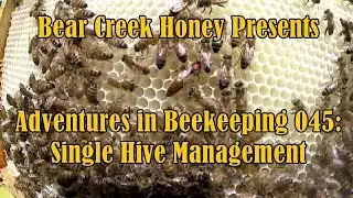 Adventures in Beekeeping 045: Single Hive Management