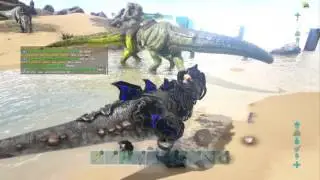 VOA RAIDING DUPERS