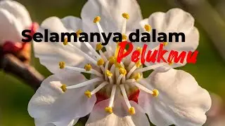 Selamanya Dalam Pelukmu | Lagu Reggae Santai Romantis