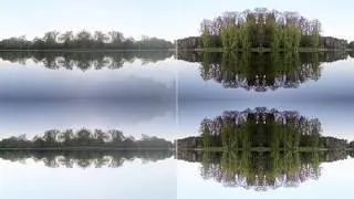 Wave Rave