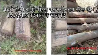 Uttarakhand Van Vikas Nigam (U.K)