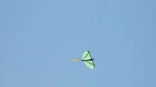 Ornithopter, RC model, 2010