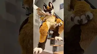 My Fursuit Maker CALLED ME OUT 💀 | #furry #fursuit #fursuitmaker