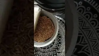Have you ever try - CUP NOODLES Veggie Manchow??