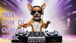 Unlock 2024&rsquo;s Ultimate EDM Playlist|EDM Party 2024: The Hottest Music Mix