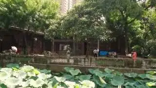 One of the four famous Lingnan gardens: Qinghuiyuan 清晖园