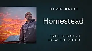 Tree surgery how to step by step video.