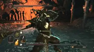 Dark Souls 2: ELANA, SQUALID QUEEN (NG+)- Dragon&acute;s Rest (BOSS/DLC1)