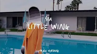 Sia - Little Wing (Male Versionl)