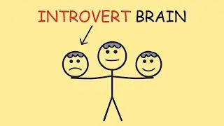 6 Weird Ways Introvert Brains Process the World Differently