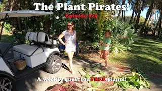 Finding FREE Plants Every Week! |The Plant Pirates Episode #29