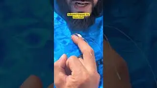 Yellowtail Snapper Jig Goes Viral #fishing #snapper #hook #sportfishing #bottomfish #yellowtail
