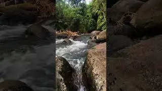 Your secret to deep sleep tonight: River ASMR Insomnia Relief #Shorts #DeepSleep