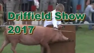 Driffield Show 2017