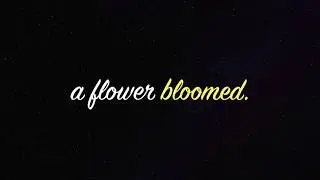 Reflection: An Audio Visual Poem