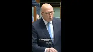 Peter Dutton slams Albanese over Israel motion